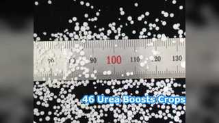 作物のブースト: 農家向けの 46% 尿素肥料